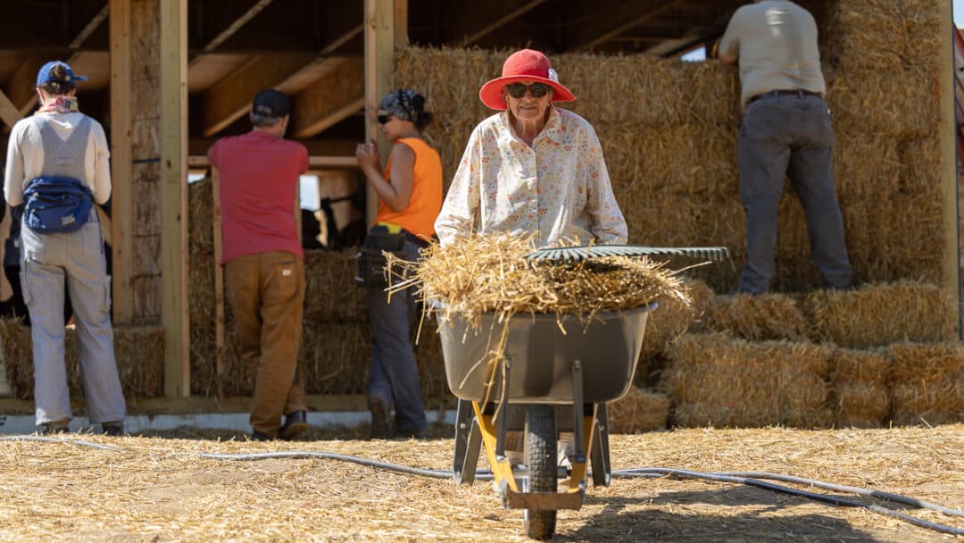 Woman pushing a wheelbarrow full of straw