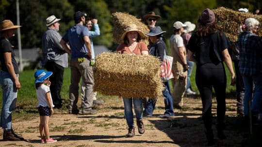 Woman carrying a straw bale during a hands-on straw bale construction workshop