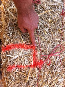 Deep Notch Marked with spray paint on Straw Bale