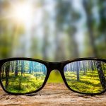 eyeglasses through forest
