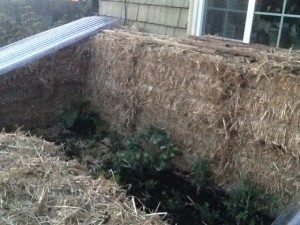 How to Make and Use a Straw Bale Cold Frame