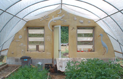 greenhouse endwall