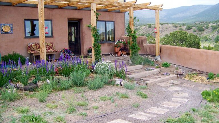 Exterior garden view and backyard of a straw bale home. Design-build by Timbo Scursso